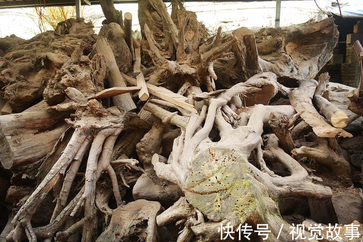 精雕!山村村民把枯树根捡回家,精雕细刻仔细打磨,万元不卖