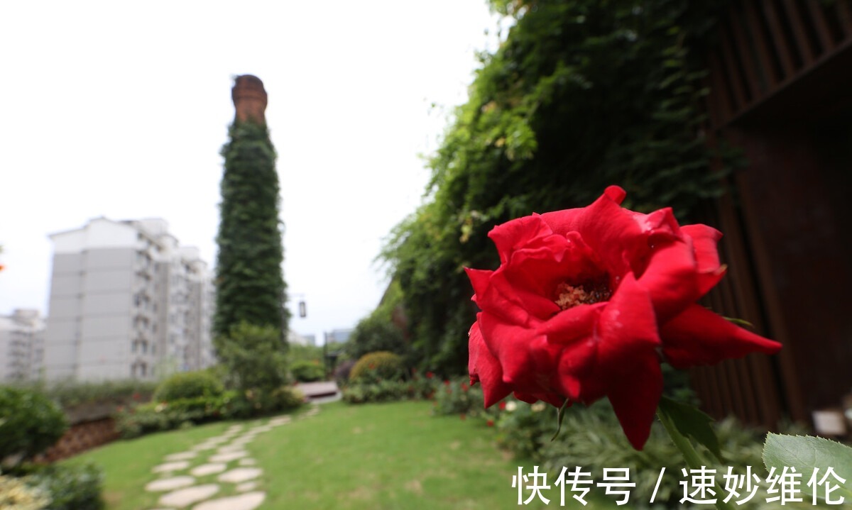 长滩|赤道附近保存比较完整的原始森林 开学季来这里写生 不虚此行