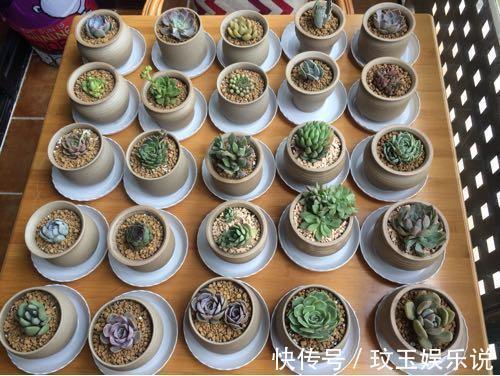 阳台|媳妇装新房,卫生间砌“半墙”,阳台成“绿森林”,被邻居赞爆了
