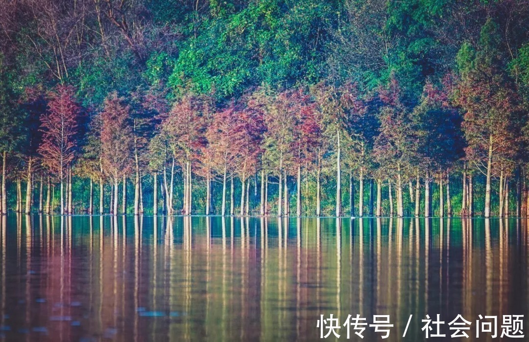 野竹|李白意境最美的一首诗,字字皆美,第二句竟然