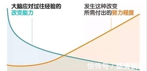 玩具|哈佛研究:孩子大脑发育最佳方法不是阅读,有一点被很多家长忽略