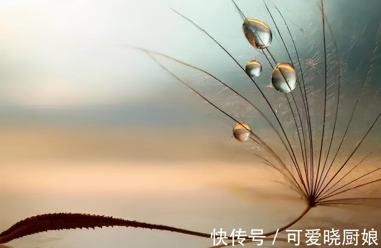 德行#人生十悟,你悟透了多少?