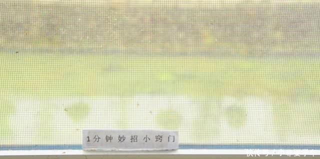 烟丝|纱窗脏了别拆洗,清洗纱窗方法,喷一喷污垢自己掉下来,超实用!
