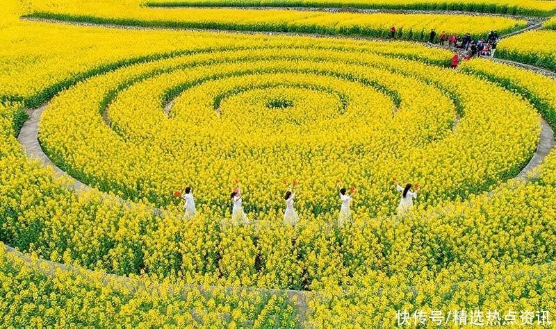 高清湖北兴山高山龙池千亩油菜花盛开 美如画卷