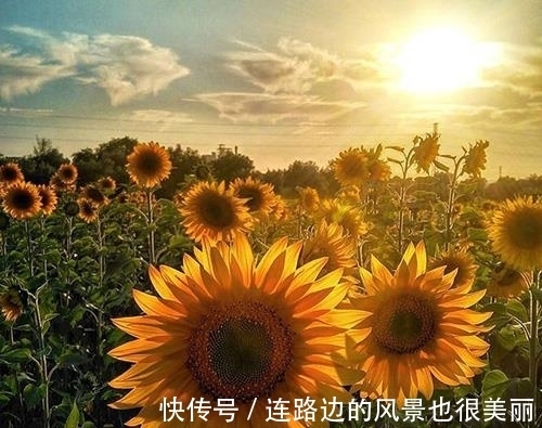 双子座|本周运势：双子座心如止水，力挽狂澜；巨蟹座放下防备，相信自己