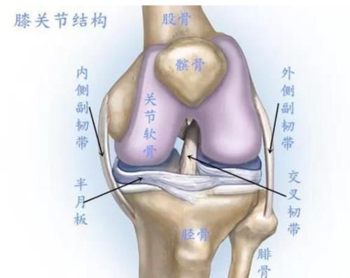 高跟鞋|膝关节疼痛难忍，直接影响正常工作生活，当膝关节损伤时该怎么办