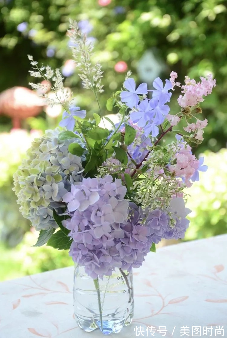 三角梅|120㎡别墅花园改造,经过三年的努力,小院从荒地到花开满园