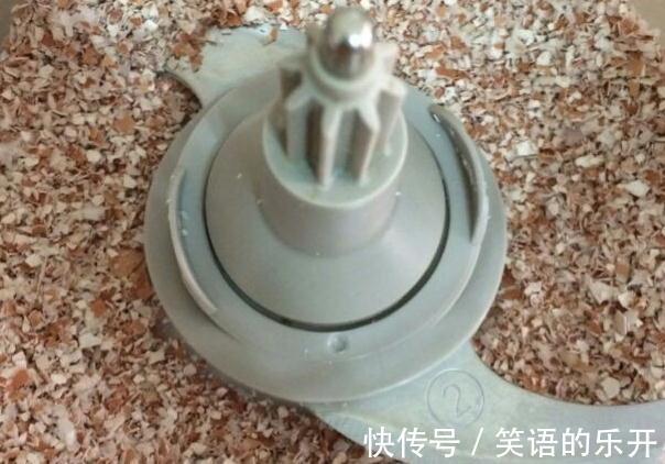 教你用鸡蛋壳养花的6个小技巧,学会了植物枝繁叶茂