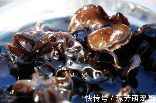 泡发木耳最忌直接用水泡，教你正确方法，木耳又大又软还干净