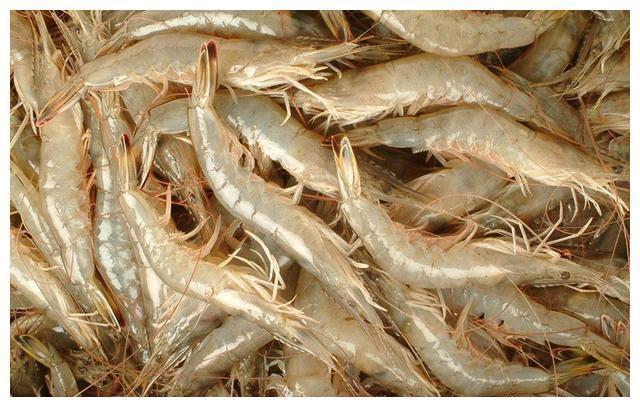 手抓饼|经常用脑压力大,6种食物要多吃,“硒”含量高,大脑轻松效率高