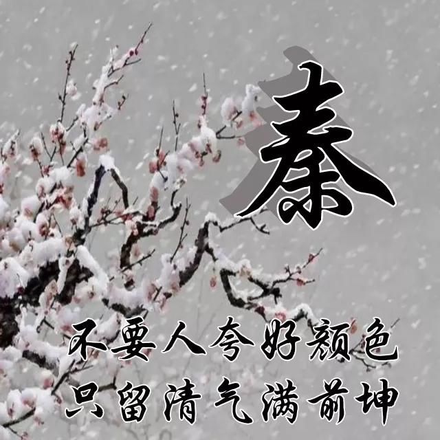  红梅|红梅花儿开，朵朵放光彩，千里冰霜脚下踩