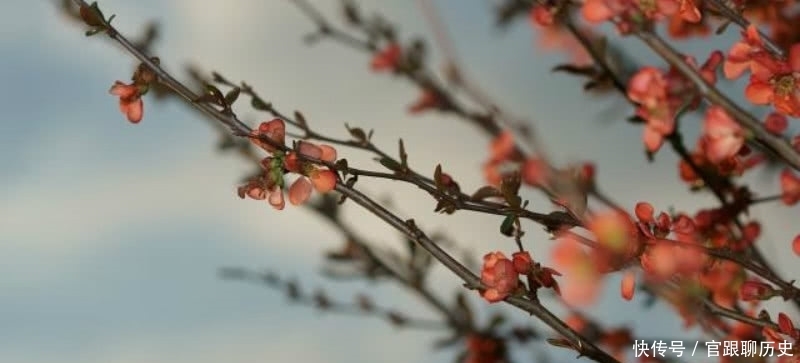  水平|老对头王安石二次拜相，苏轼看不顺眼专门写诗怒怼，句句都有水平