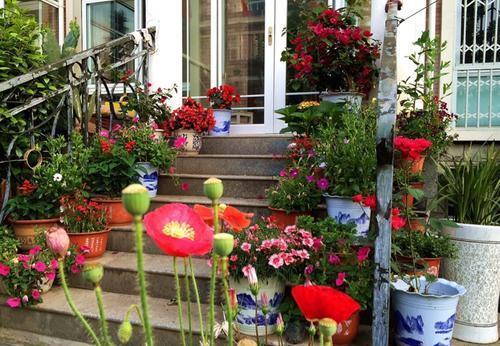 小花园|为了养花种菜,奶奶花160万买了郊区的别墅,3年之后,后悔了