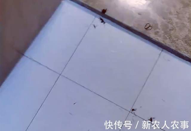 妈妈|江苏一小朋友火了,偷偷地在家里给自己理发,妈妈发现后瞬间崩溃