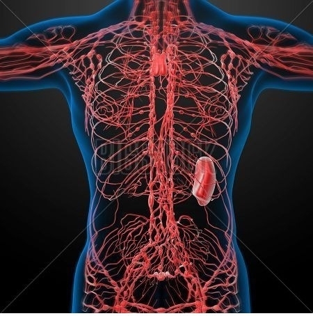 淋巴结|癌症转移分为3种情况，有2种情况可以治愈，快来看看你是哪一种