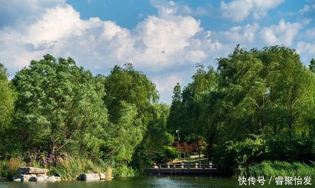 走，带上家人去野餐！《济南春日野餐指南》请收好！