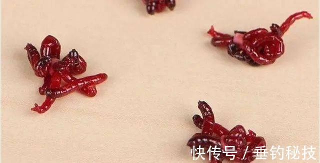 都说冬季鱼难钓?其实不然,是你没掌握诀窍,这样调整后照样上鱼