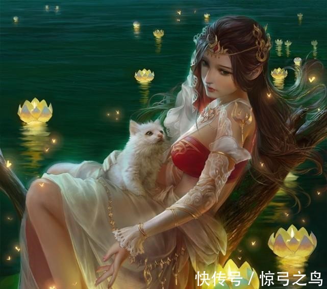 六翼天使|斗罗大陆最美丽的五个武魂! 一个成为霍雨浩女儿, 一个是他的妻子！