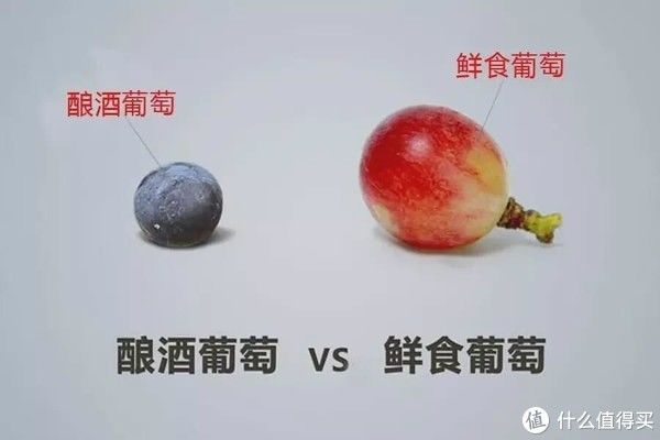 当心|看了网红自酿葡萄酒蠢蠢欲动？当心误伤了自己！