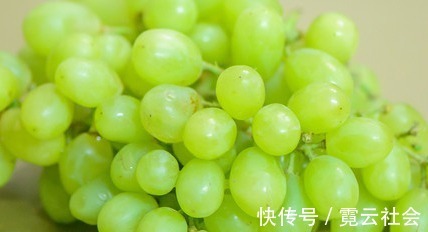 八带鱼|想长寿,4种食物不能少,排毒美容,呵护肌肤,预防妇科病