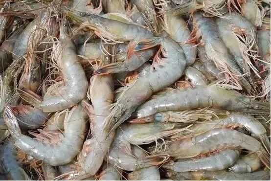 过年买虾，只看弯不弯就错了，记住这“4点”，都能买到新鲜大虾