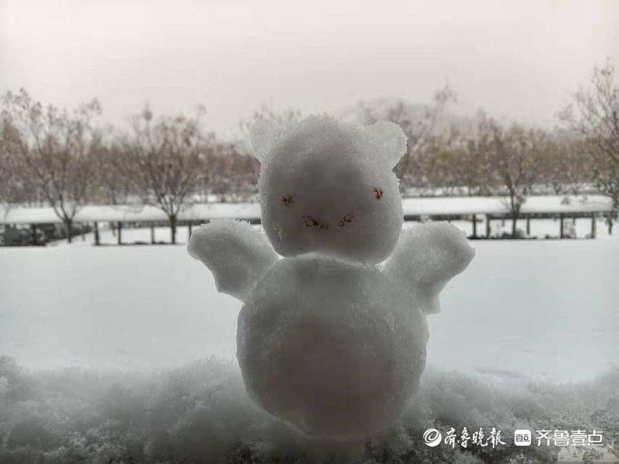 济南工程职业技术学院|暴风雪下的驻济大学生：校园里肆无忌惮滚雪球，那是我们的青春啊