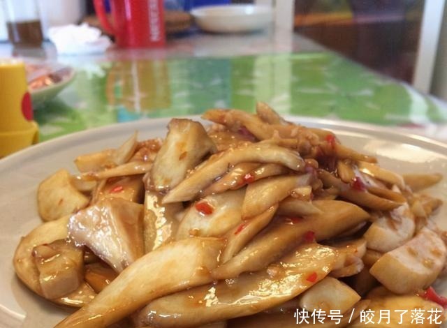 杏鲍菇的12种花样吃法可盐可甜，又香又鲜，味道美营养高！