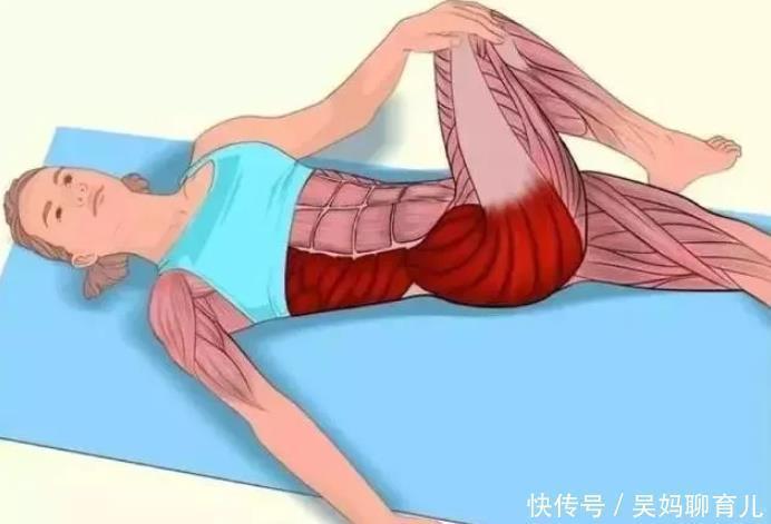 腘绳肌|全身拉筋3D图解，一步到位，在家也能强身健体