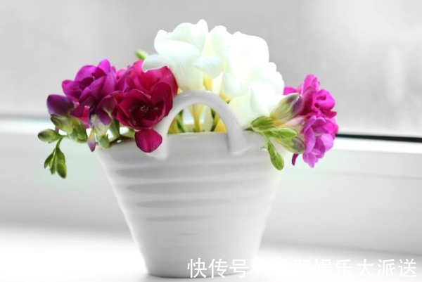 福气|无论有钱还是没钱,这三种人命最好,越老越有福气!