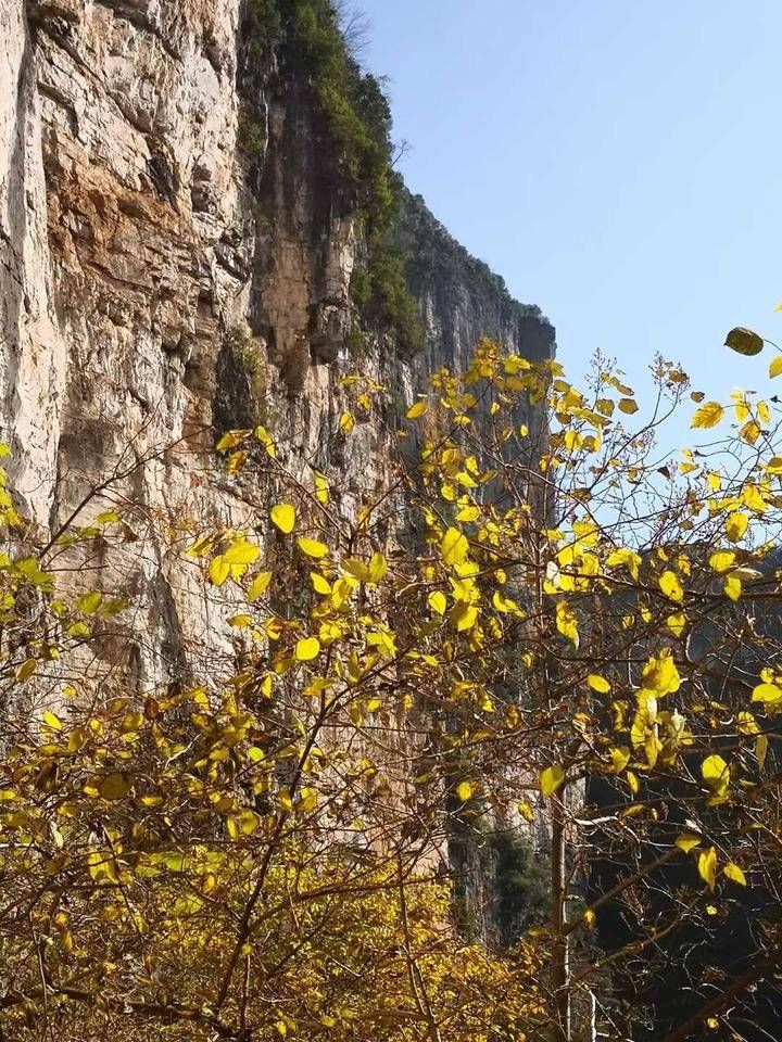 坑口|甘绍群：奉节天坑地缝探秘