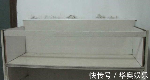 隔板|亲戚给我炫耀他家的瓷砖鞋柜,看完自己回家动手也照做了一个