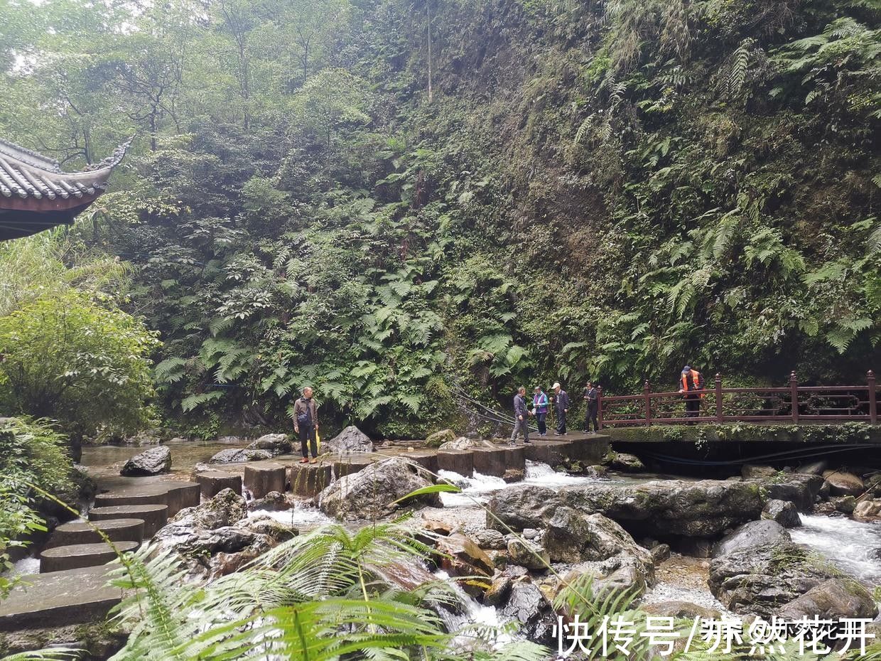 茶餐厅@自由书写：不停地快写，让书写与思维相匹配