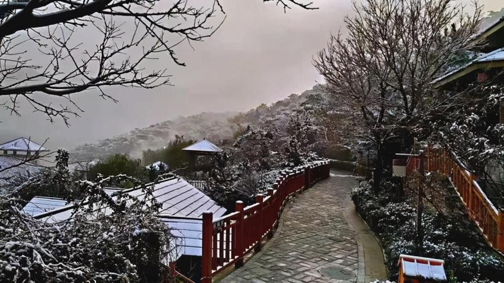 赏雪|温泉+赏雪，泰山温泉城冬季美极了