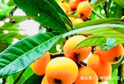 失眠|女性不想感冒，多食此“治病果”，失眠好了，减肥，养肝明目。