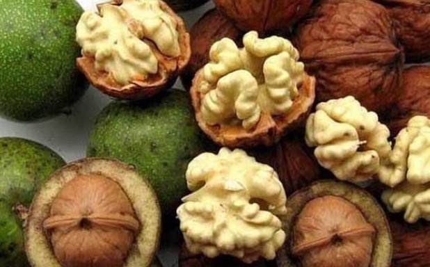 核桃|核桃什么时间吃最好医生吃对是 “长寿丹”，吃错早升天