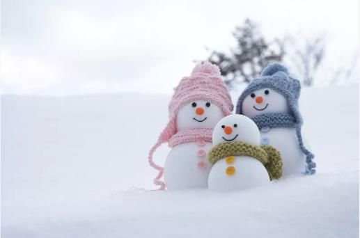 小寒到！这两款冬令补阳粥，不是人参胜似人参