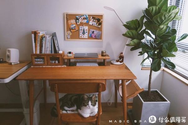 软装|她家与豪华不沾边,可满屋子的温馨感却藏不住,网友:挑不出毛病