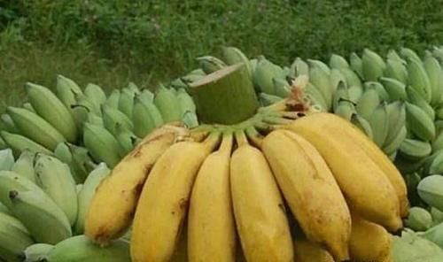 女性養(yǎng)生多吃幾種食物，營養(yǎng)豐富，去除皺紋，身體棒棒噠