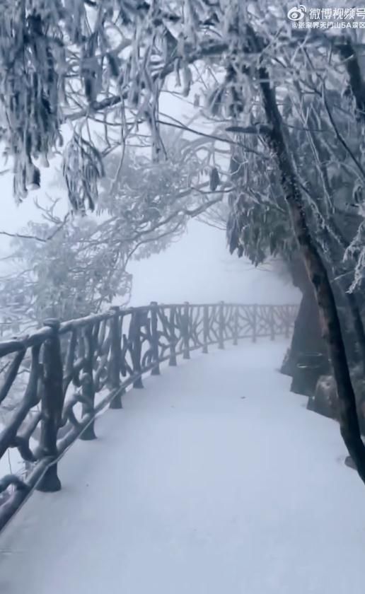 预报|什么？湖南真的下雪了？没错，就在这些地方→