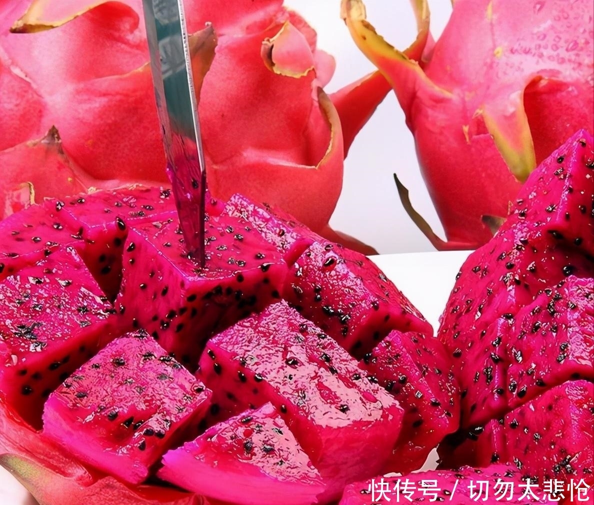 过年囤这4种水果，不但健康营养还实惠，关键寓意特别好