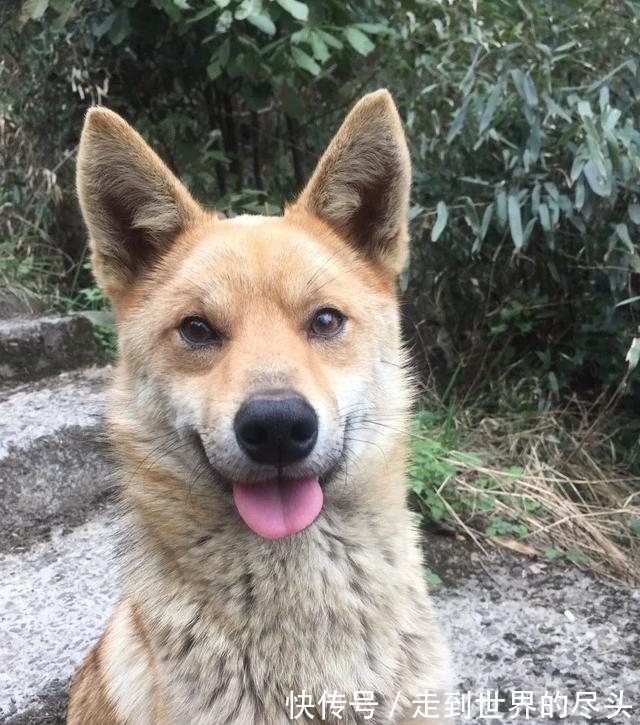 萬暢|專訪萬曉利：再見了，民謠