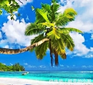 水力$雪化方懂云水力,春归自醉杨柳风