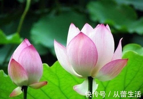 唐太宗|有出息的人,身上往往有这三个特点,看看你有吗?