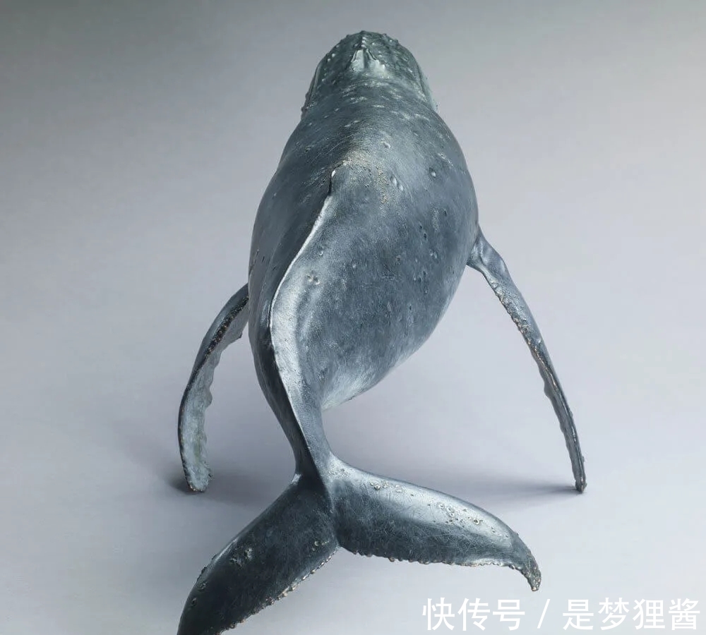 形象派!细致到肌肤纹理的动物雕塑大师