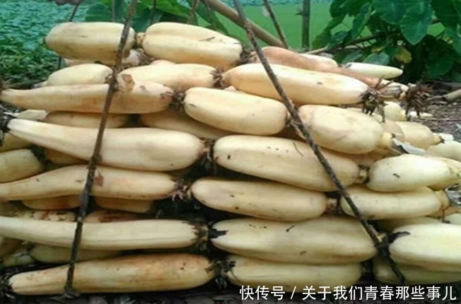 做熟后|买莲藕,七孔九孔有啥区别?别买错了,记住3点,买对脆藕和面藕