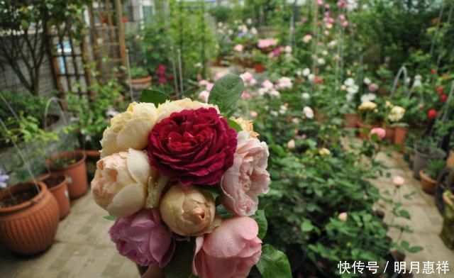 100㎡屋顶打造“花园露台”,网友直呼太壮观了,仿似人间仙境