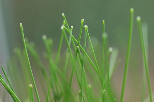 春天要养生,首选先养肝!要想肝脏更好,不妨多吃3物,做好3事