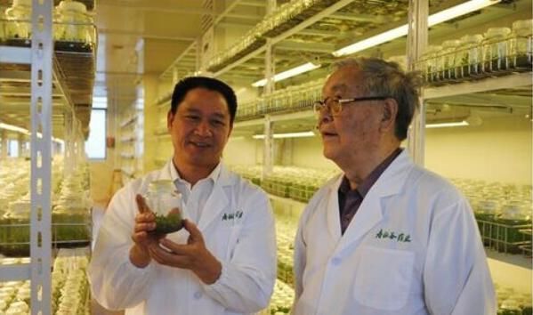 饮食|想要预防癌症,要在饮食上做出一定改变,提醒:3样食物尽量少吃