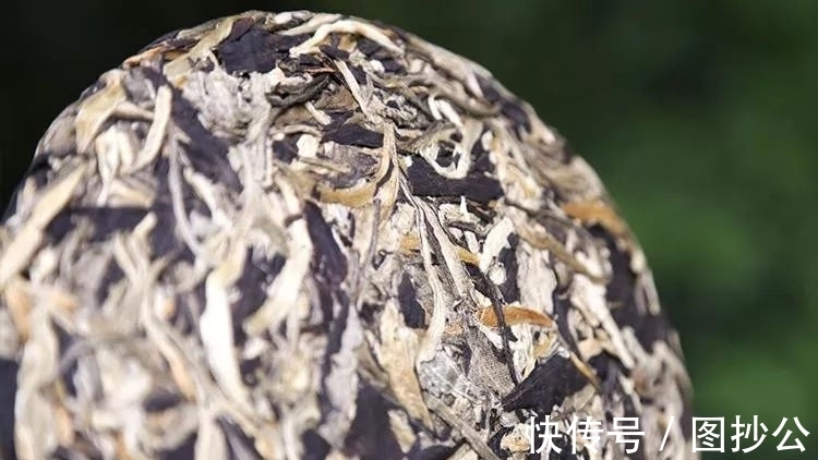 抗生素|有种茶,堪比抗生素,感冒药,还能护肝!