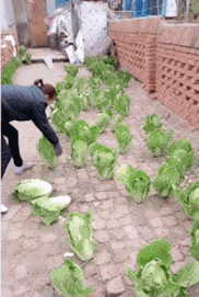 |搞笑GIF:帅哥吃个饭都不忘皮一下,大姐用劲儿大点儿